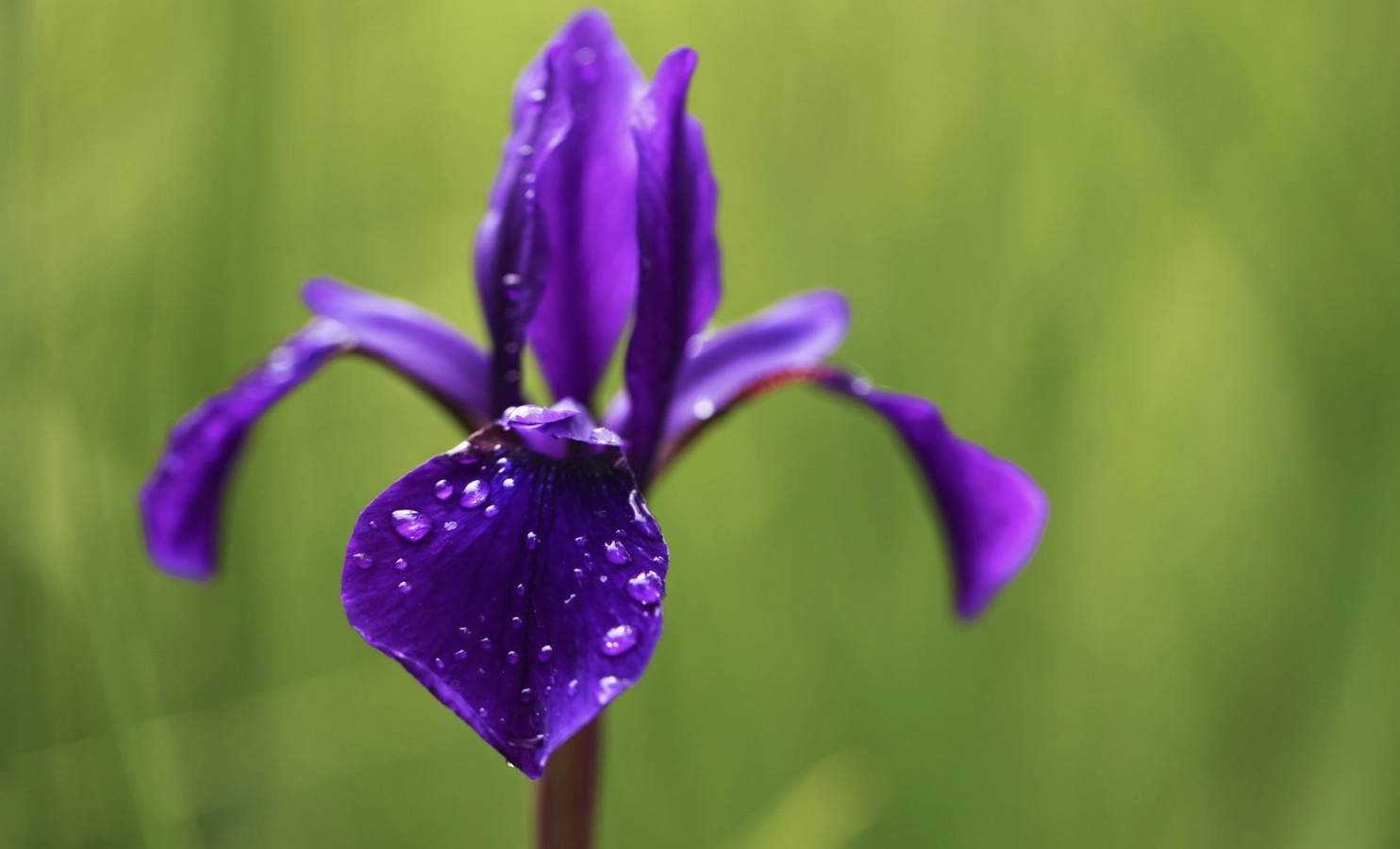生肖夜读|9月中旬，时来运转，大财小财，找上门来，3生肖占尽先机，躺着赚钱