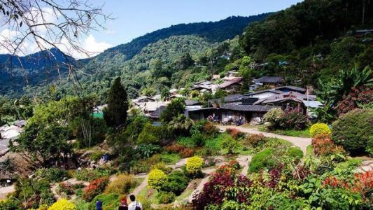 菜菜叶|苗疆蛊毒是巫术吗？蛊毒杀人事件是真还是假