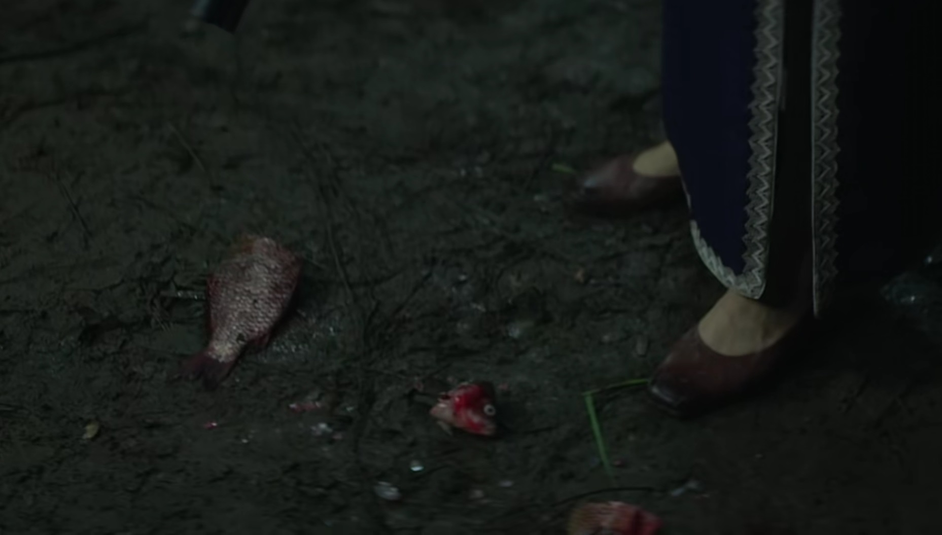 电影|时隔4年，台湾惊悚剧《红衣小女孩》编剧一出手，就是恐怖片巅峰