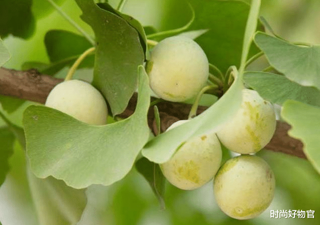 运动|“绝经”后,子宫“害怕”的4种水果,建议女性少吃,1运动或补救