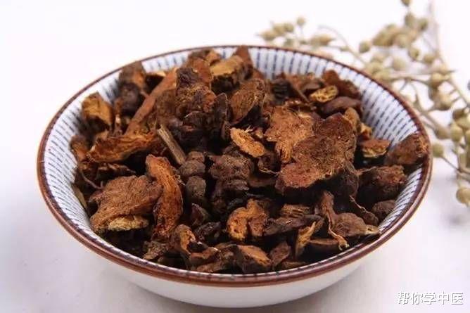 近视|脑鸣,阳虚!一张方子,补肾阳、暖肝阳、强脾阳,阳气升而鸣自止