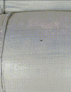 动物庄园|“我是一个送水的，碰到这样的客户该怎么办？”