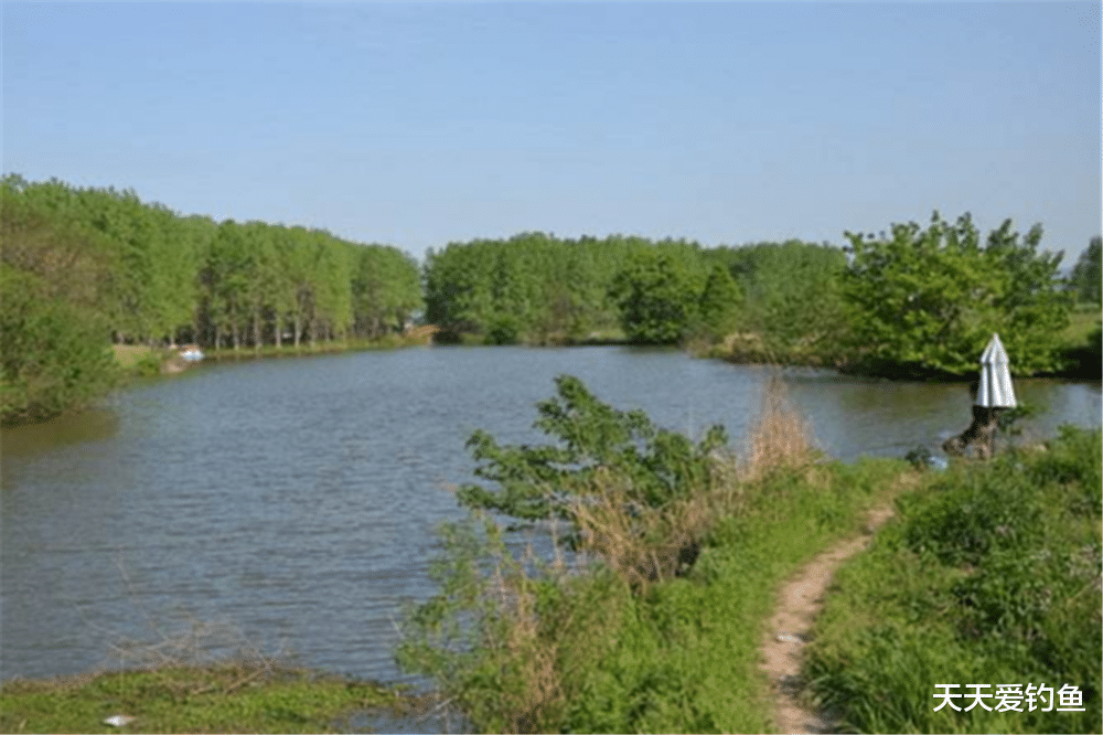 |野河钓鱼，找鱼窝的常用方法，找拐弯找水草，不过这种地形才最佳