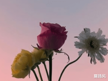 夏晴风|你知道吗？倘若一个男人给了你特殊待遇，必然是把你放在心上了