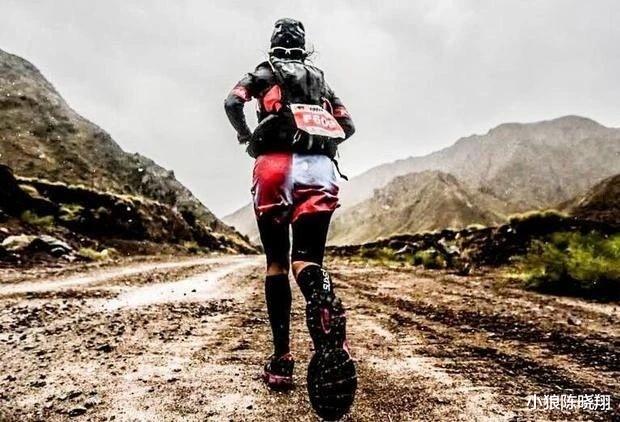 生猪价格 投资最重要是……聊四股