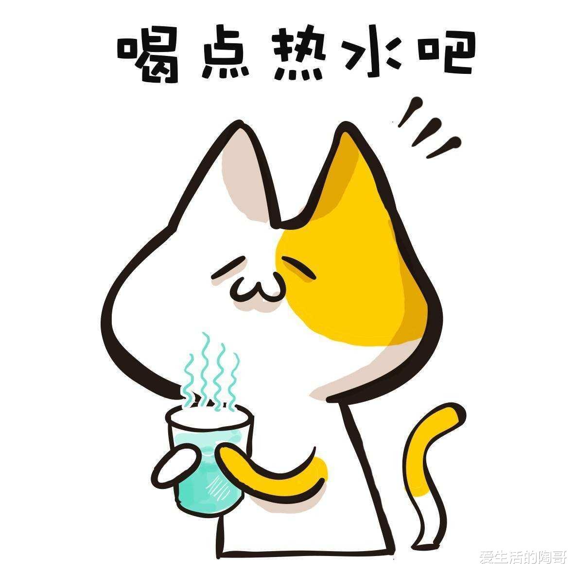 爱生活的陶哥 秋不养肺，男人易肾虚，女人老的快，孩子老咳嗽，做好4点养好肺