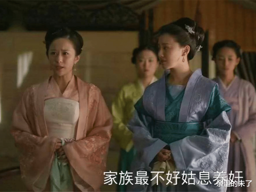 盛纮|《知否》“铲除林氏盘踞二十年势力”的海氏:她,不是省油的灯