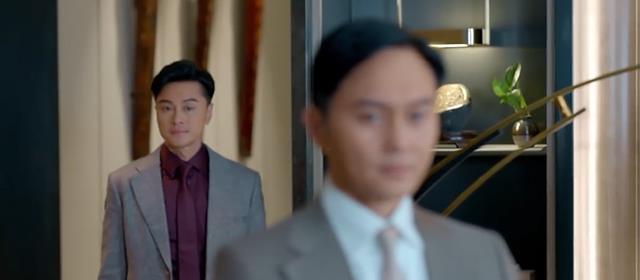 杨怡|《家族荣耀》今晚开播,杨怡复出,八大实力派坐镇,又有港剧看了