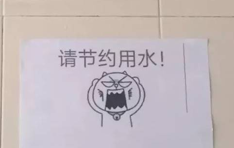 树艺蛙APP|喜提降级 | 保护野生动物离我们并不遥远