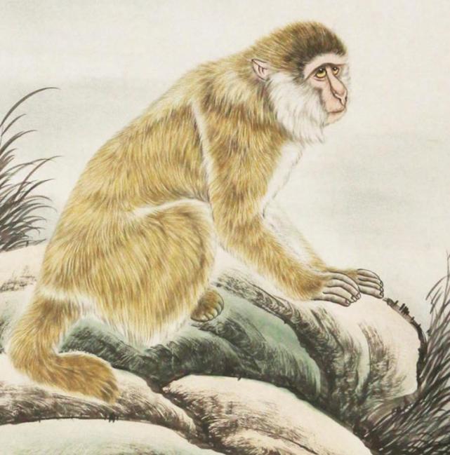 生肖|3大生肖，今年六月贵人运极佳，阻碍消散吸金多多，做啥都能顺利