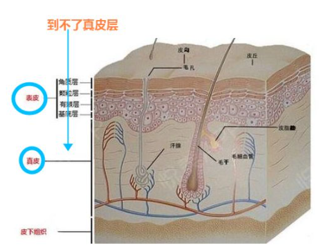 情人节|不再做“丑妈妈”，怀孕期间可以用护肤品，这几款放心用
