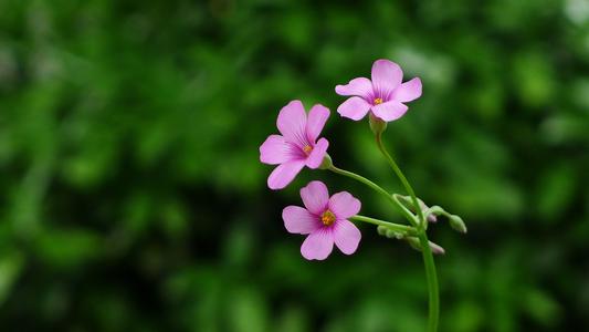 飘窗里外的世界