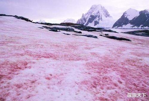 科学家 阿尔卑斯山传来不好消息，专家：不是好事，当心古老病毒复活