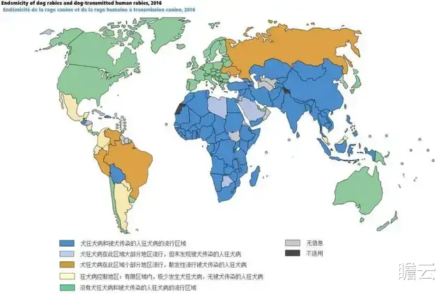 狂犬病|你的大脑是如何被狂犬病毒一口一口吃掉的？