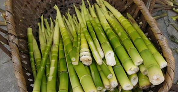 |医生提醒：血压较高的人，除了盐以外，也尽量少吃这5种素食