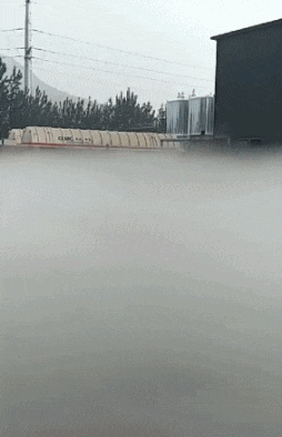 咸蛋的小姐 “妹子你要看准了再出手啊,打到铁柱的手还痛吗?”哈哈回家好好练拳