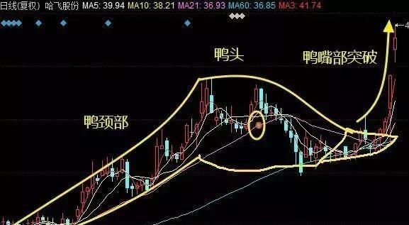 股市 北大金融教授发声：全世界都是T+0，为何中国是T+1？不懂你就输了