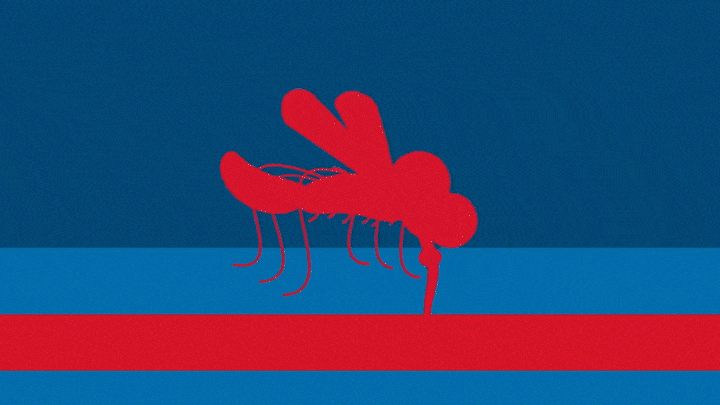 非小细胞肺癌 24小时工作的免疫细胞在干什么？