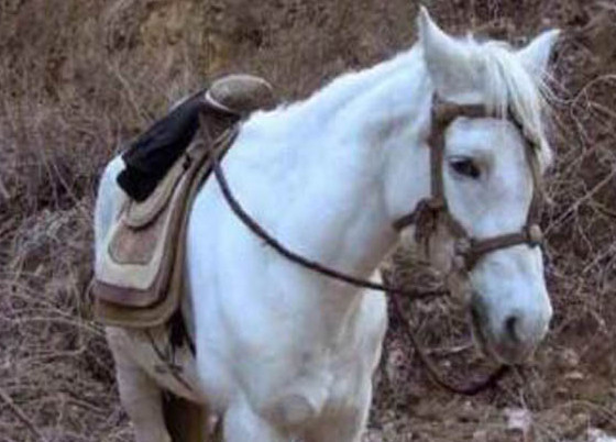 六小龄童|《西游记》主演去世！六小龄童晒旧照悼念，开播35年已有32人离世