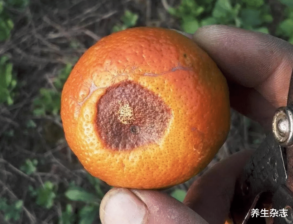 胃癌|多家医院呼吁停止食用:吃一口等于酒精20倍,已有人胃癌离世,趁早丢