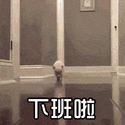 人死后,眼前会像放电影一样,回忆过去吗?那些关于死亡的冷知识