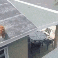 |“为什么洒水车要一路放可爱的音乐？”评论真秀...哈哈哈哈哈～