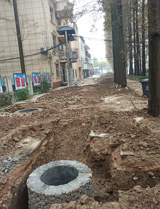 沌口之声 沌口这两个街道将迎大发展