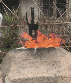 萌萌萌说|“大叔狂刷100万的礼物，终于跟网红见了面！”就问这波值不值？