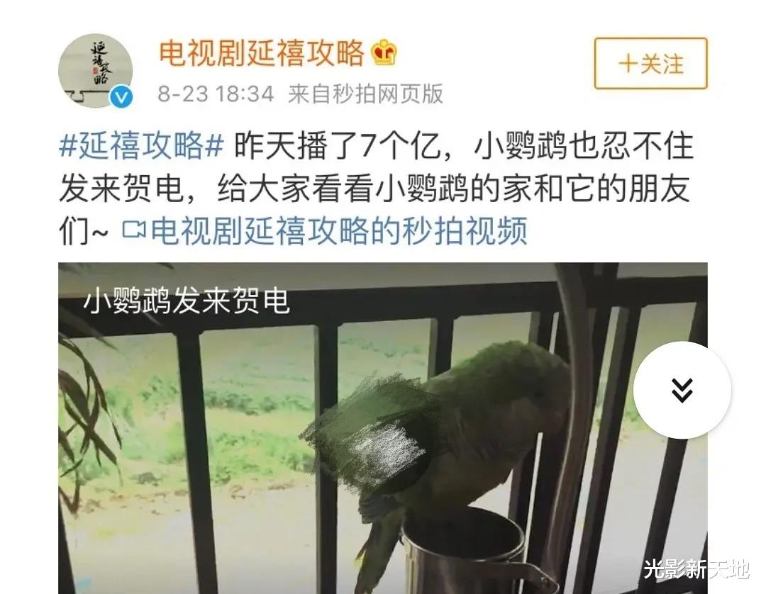 当家主母|《当家主母》被指毒死田园猫，抽搐动作太逼真，制作方否认再遭质疑