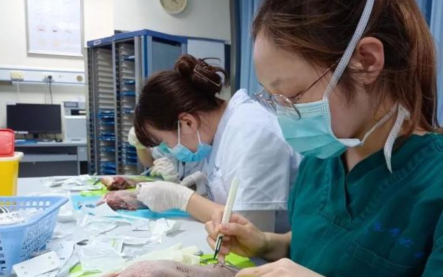 大树说教育|四川大学一寝室,6名女生集体保研名校,网友称赞才华与美貌兼备