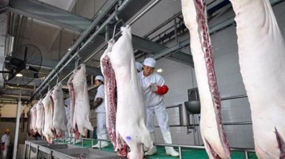 生猪价格 4月10日：不说跌了，因为猪市一直在跌，就想问问猪价何时能涨？