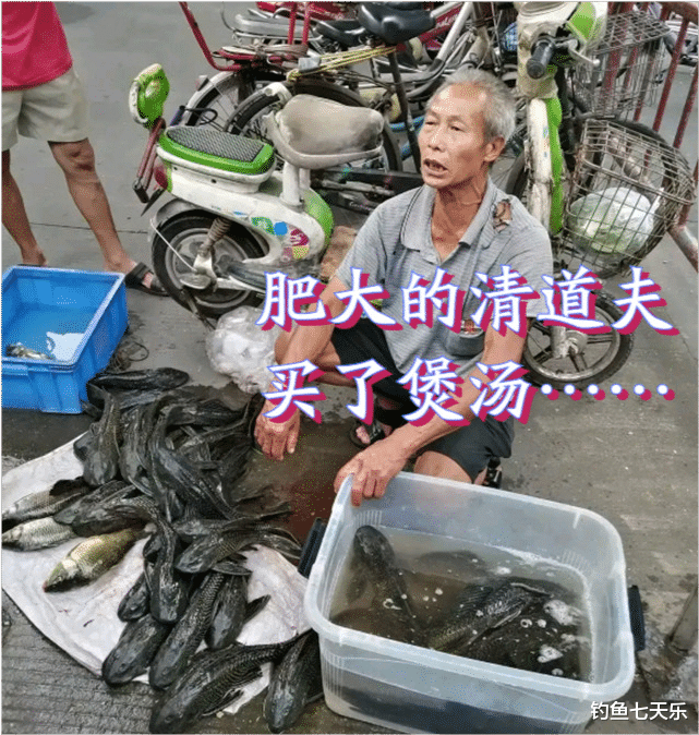 广东省 七旬老翁路边摆卖“清道夫”，能用来煲汤？网友炸锅：改名壮腰鱼也没人吃