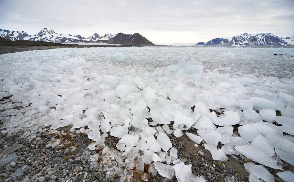 绍伊古 绍伊古认为人类正在走向灭亡，科学家列出濒临消失的国家名单