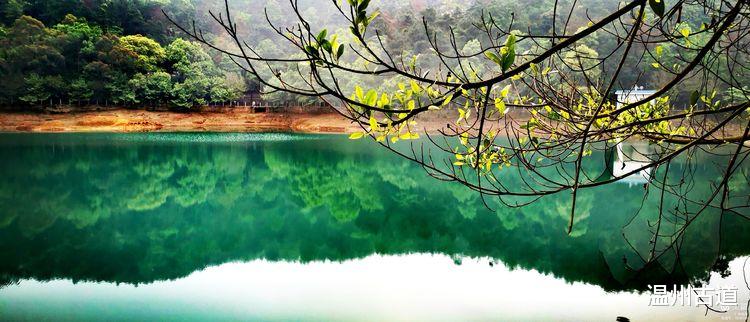 温州古道 温州大罗山最新网红打卡点--昭君出塞等你来