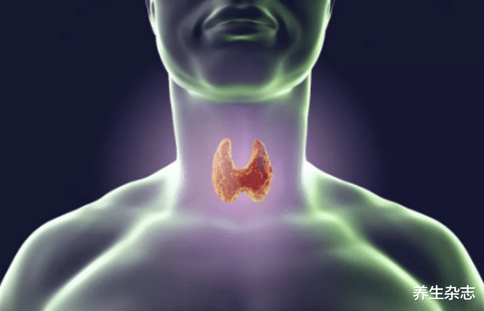 尿酸|常吃韭菜对甲状腺不好?医生:平时3种菜少吃,结节或可慢慢消散