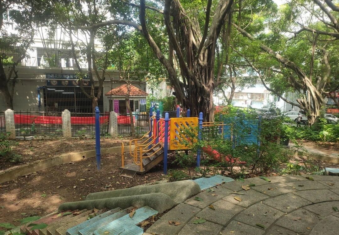 棚户区改造|富人区的棚改，白石洲又有土豪邻居了？