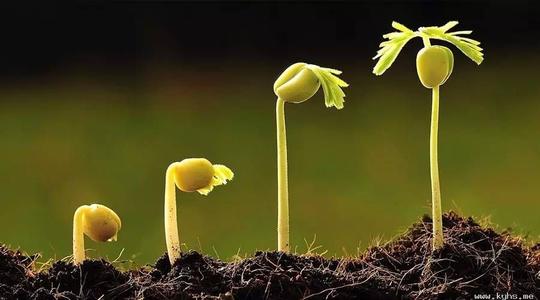  量变到质变，个人如何实现突破式的成长？