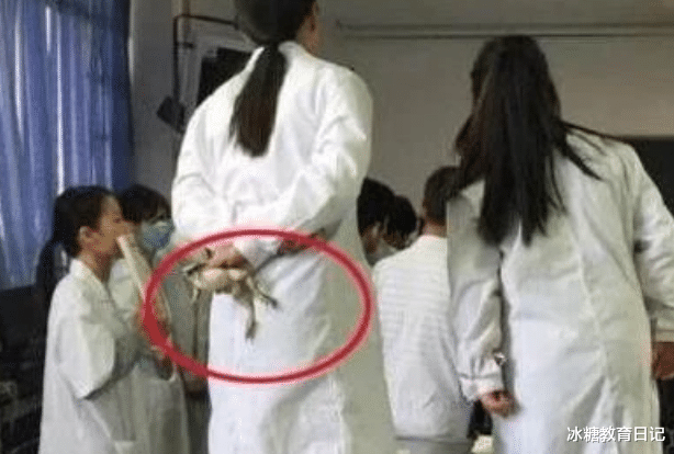 医学生|工作多年后才发现，师范生和医学生的差距很大，幸好当初没选错