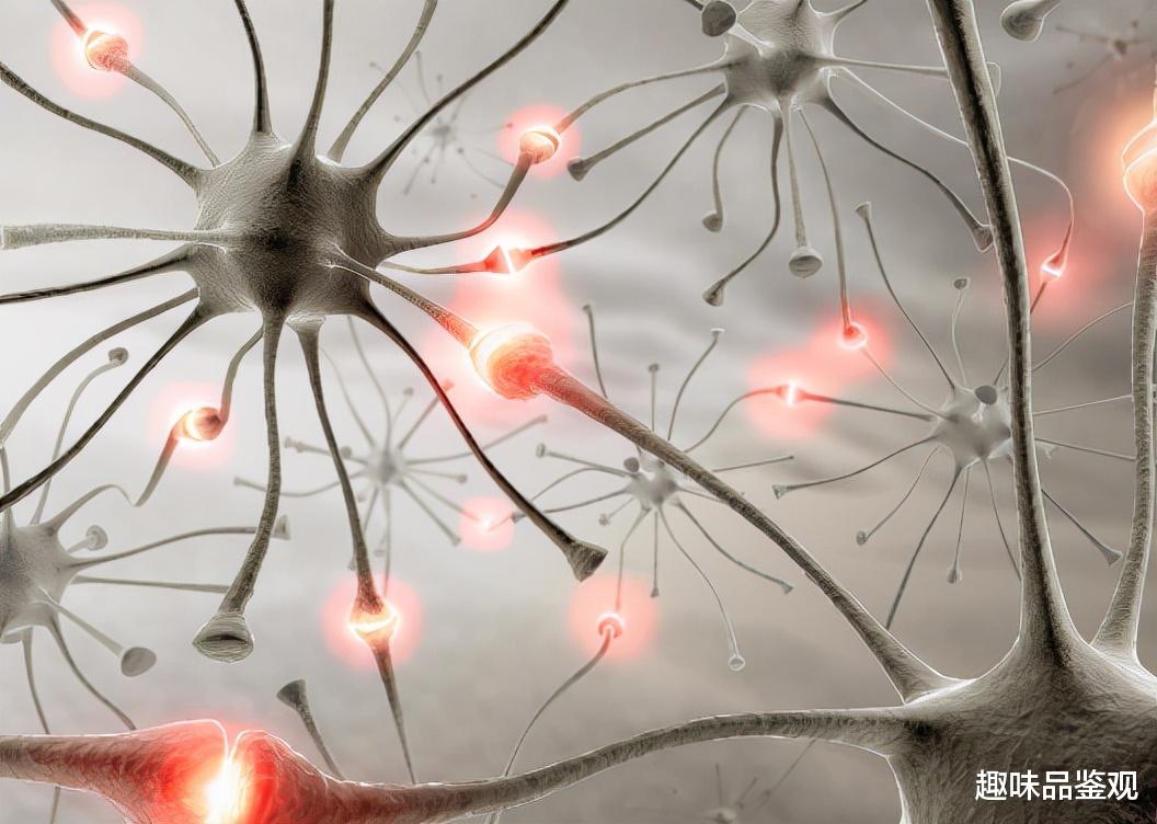 科学家|意识是什么？人类意识能跨越时间，难道我们不是三维生物？（上）