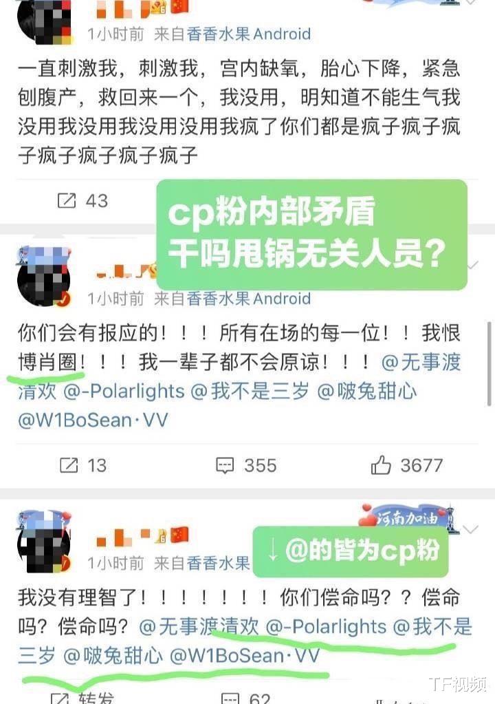 张晚意|博君一肖粉丝发布换脸视频，不幸被网暴流产，唯粉却甩锅指责对方