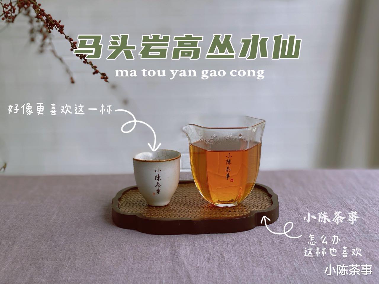黑豆|日常泡茶時，多少度水溫最合適？綠茶、白茶、紅茶的水溫相同嗎？