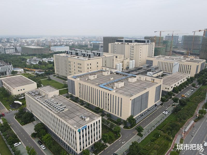 碧桂园|珠三角村民富裕程度为何普遍高于长三角？收入来源差异主要是租金