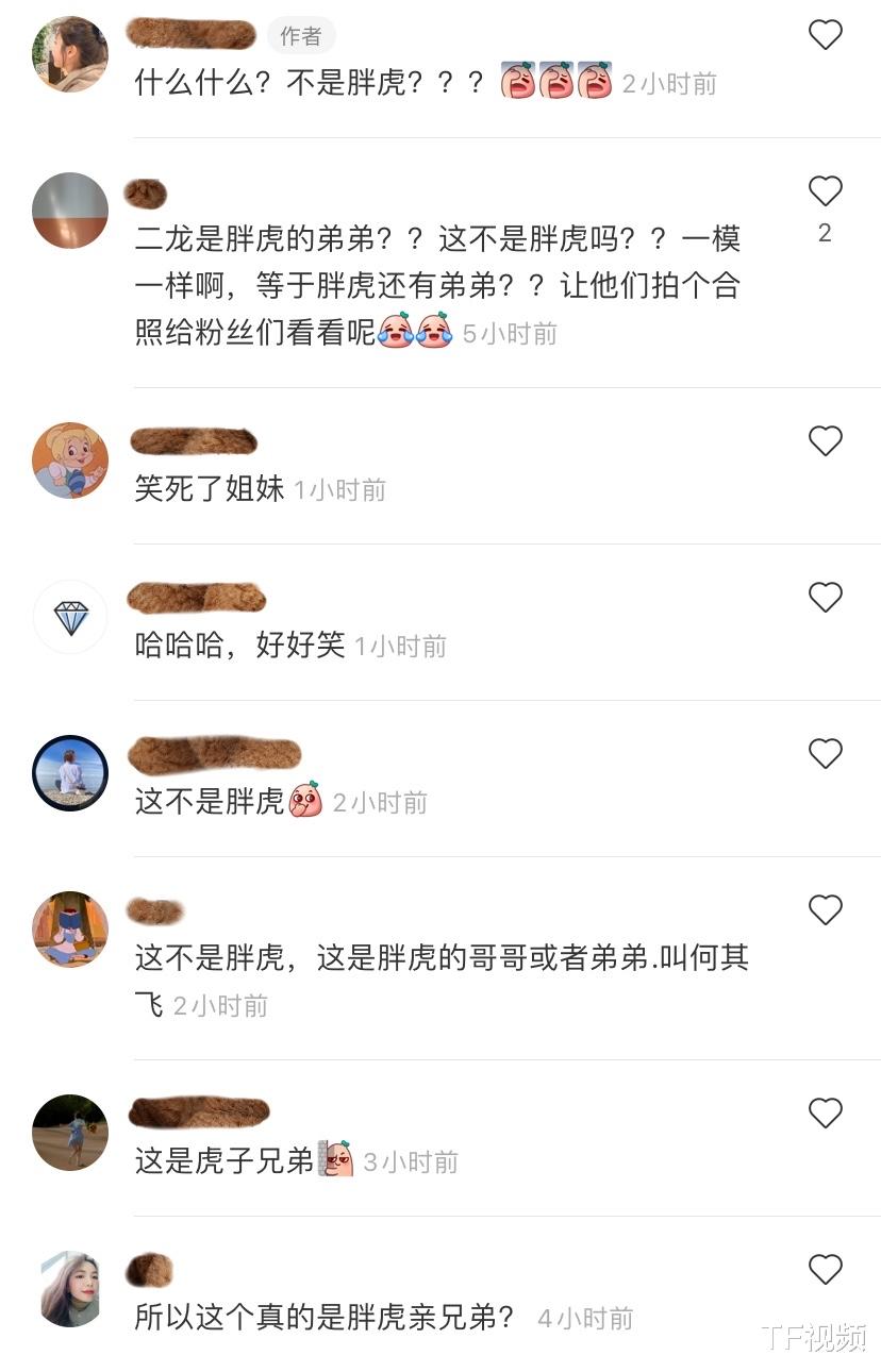 刚田武|千玺接机图曝光，助理上演真假胖虎戏码？长得太像了