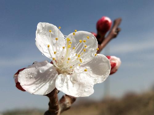 离雨微凉 心情不好的时候，坚持去做这三件事
