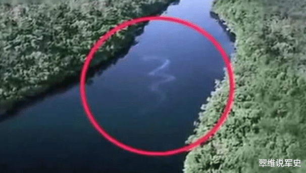亚马逊河有多危险?为何连当地人也不敢下河?看这几种生物就懂了