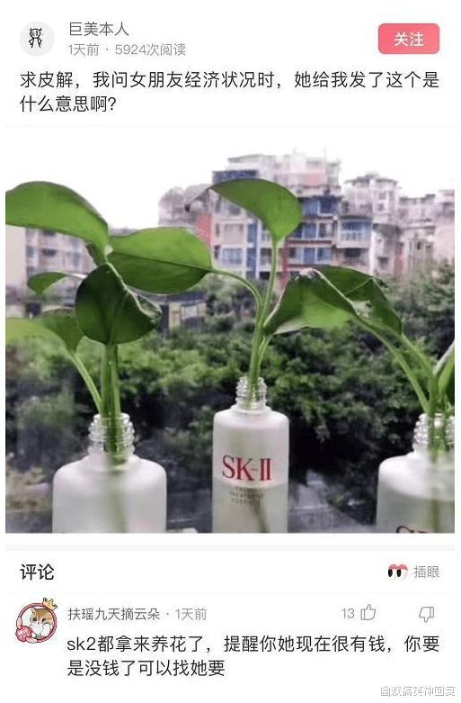 幽默搞笑神回复|神回复：我问女朋友经济状况时，她给我发了这个是什么意思啊？