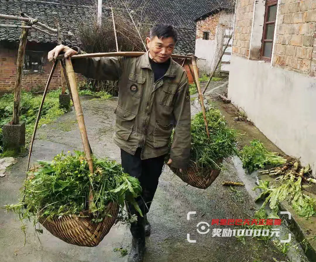 女孩|两姐弟沉入塘底，一个已没了呼吸！63岁老农累瘫在地，全救活了！