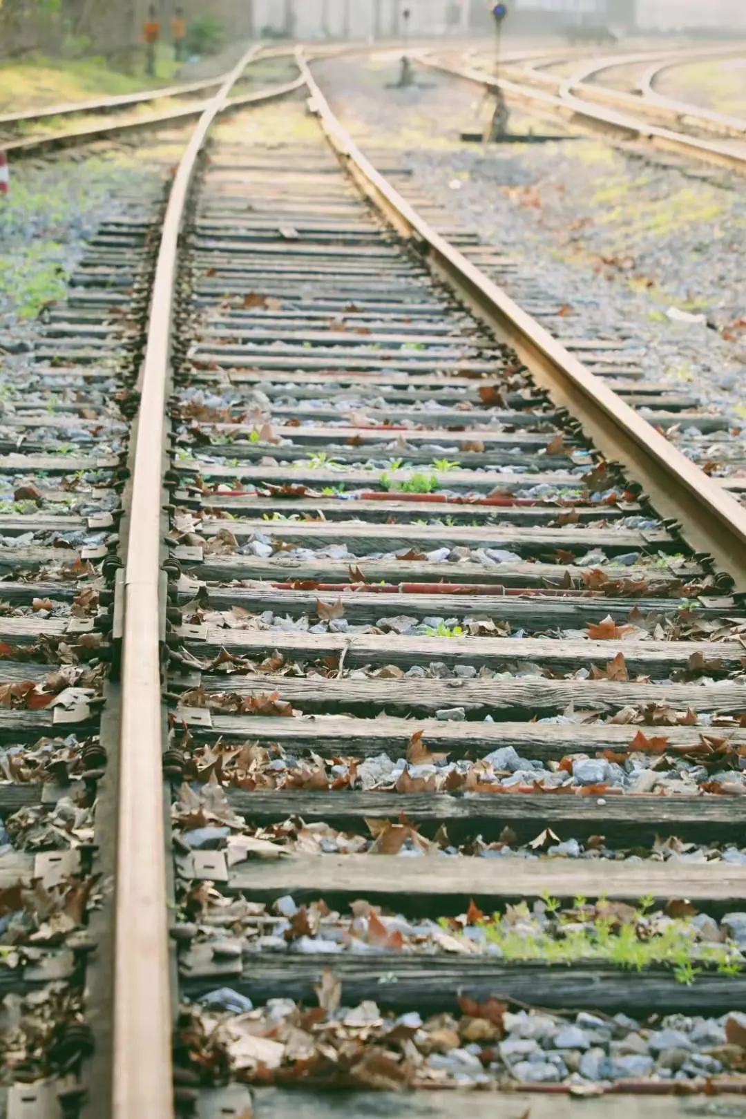 一马平天下 再见，浦口火车站！