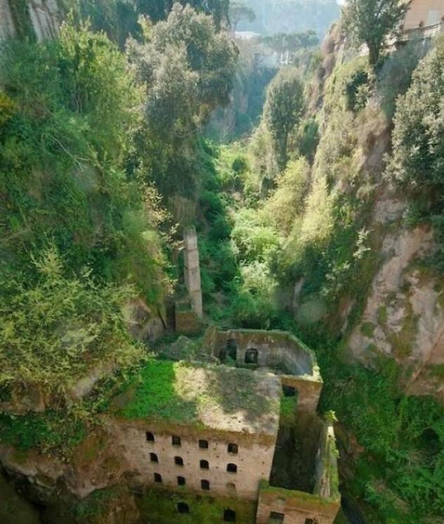 腺病毒载体 17件事情告诉你，人在“自然”面前，多么“不堪一击”