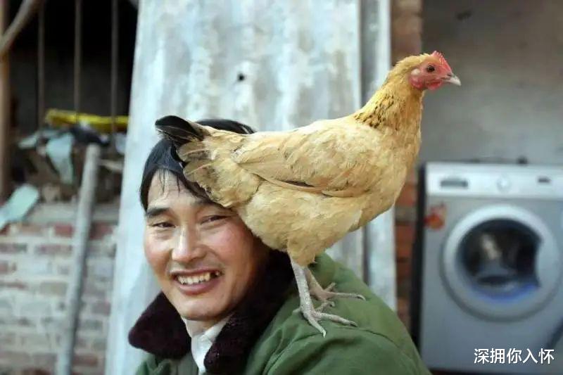 林生斌|大衣哥“老底”被揭，昔日恩人发长文痛斥：台上朴实，台下肮脏，怎么回事？